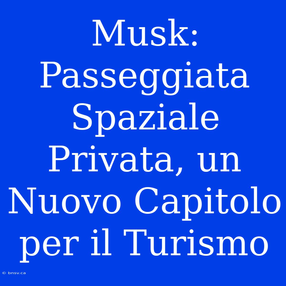 Musk: Passeggiata Spaziale Privata, Un Nuovo Capitolo Per Il Turismo