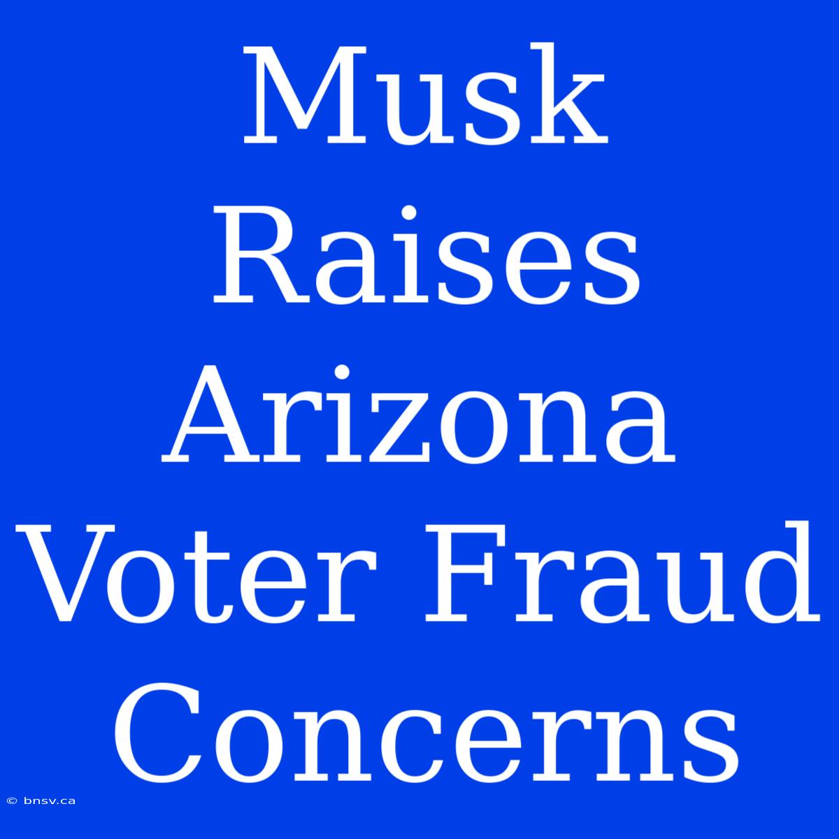 Musk Raises Arizona Voter Fraud Concerns