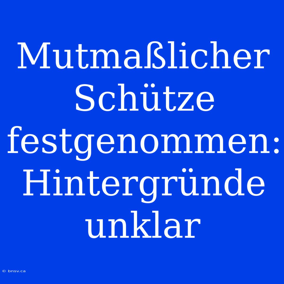 Mutmaßlicher Schütze Festgenommen: Hintergründe Unklar