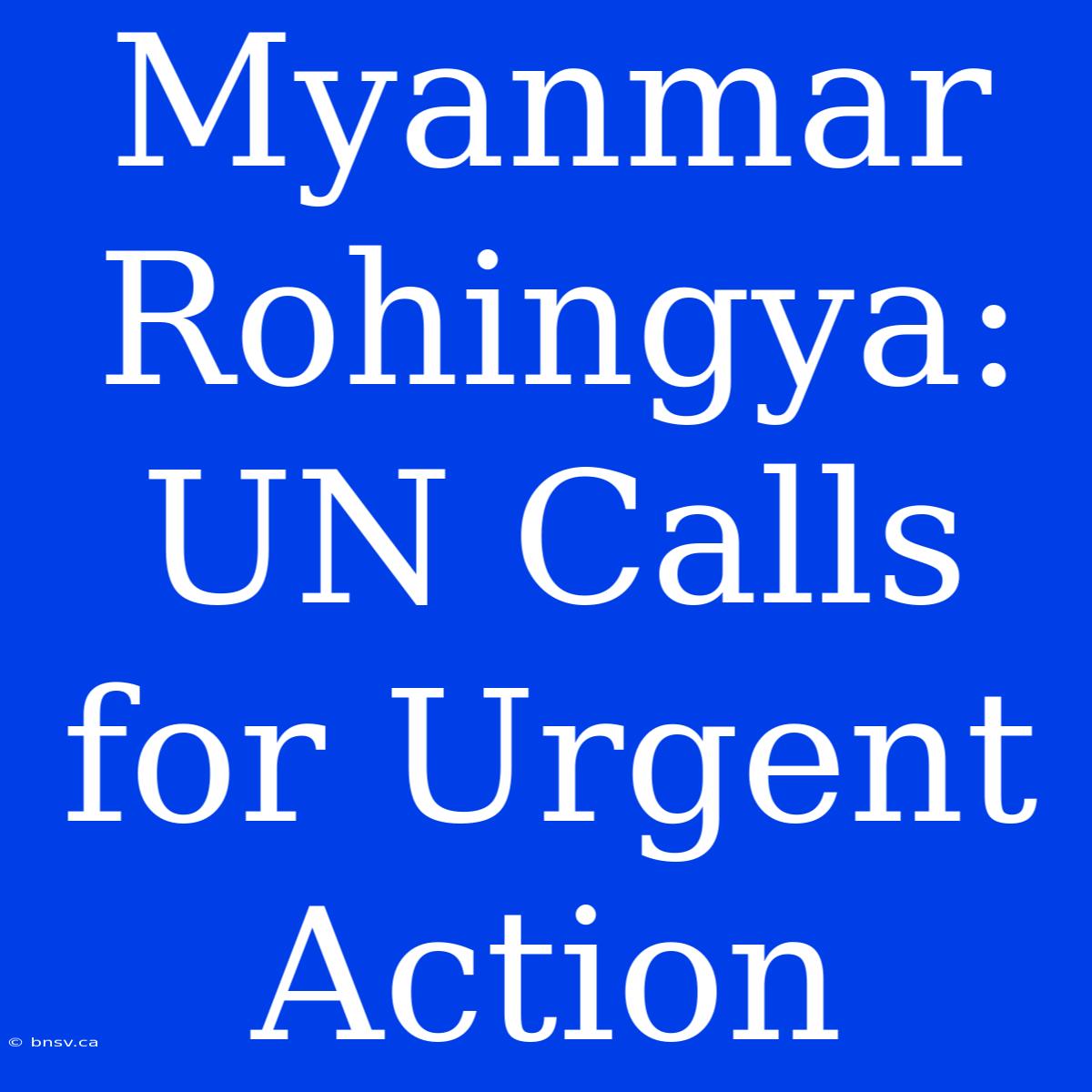 Myanmar Rohingya: UN Calls For Urgent Action