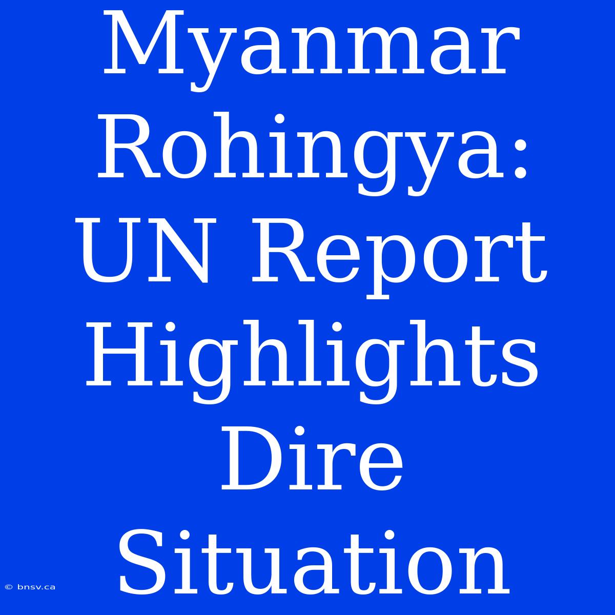 Myanmar Rohingya: UN Report Highlights Dire Situation