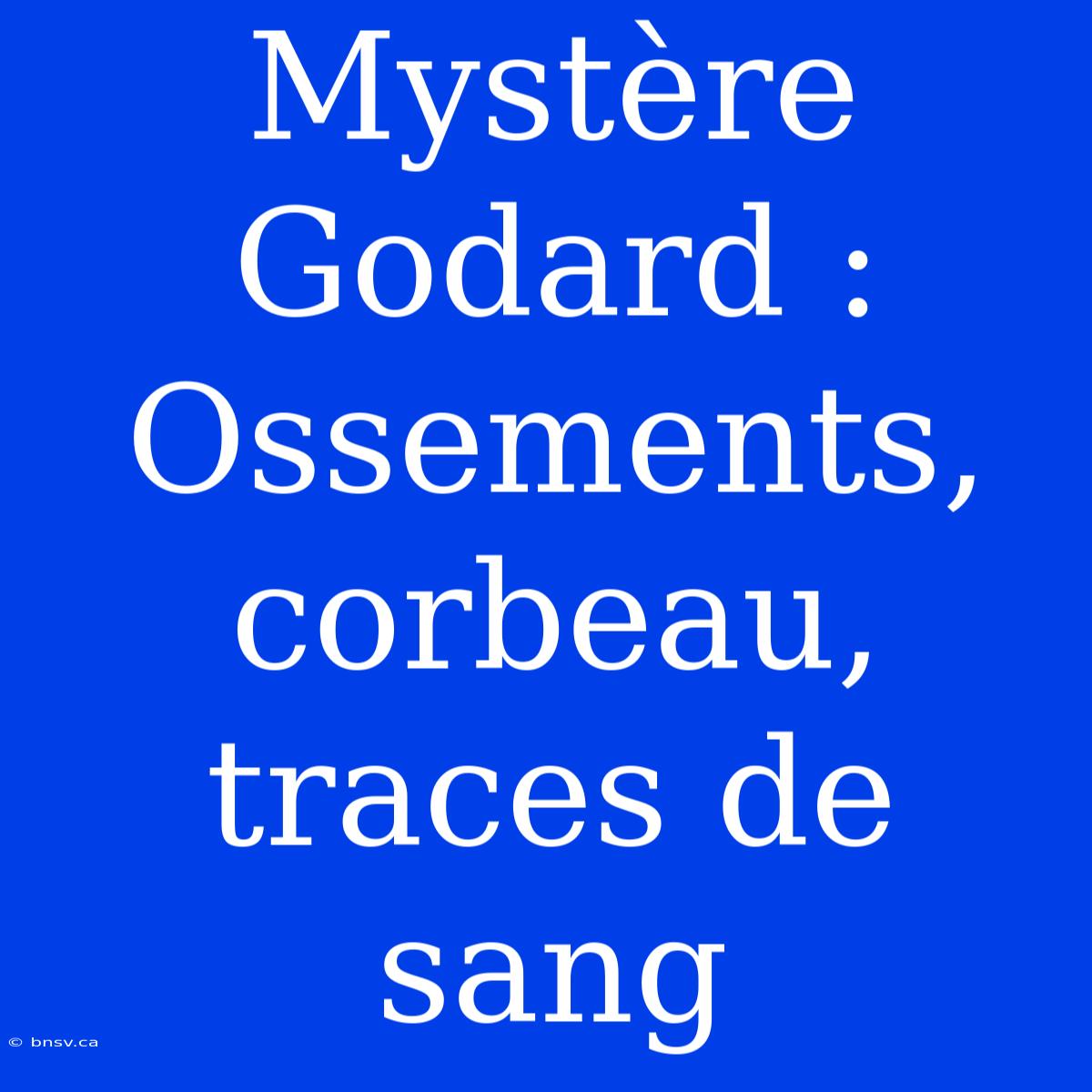 Mystère Godard : Ossements, Corbeau, Traces De Sang