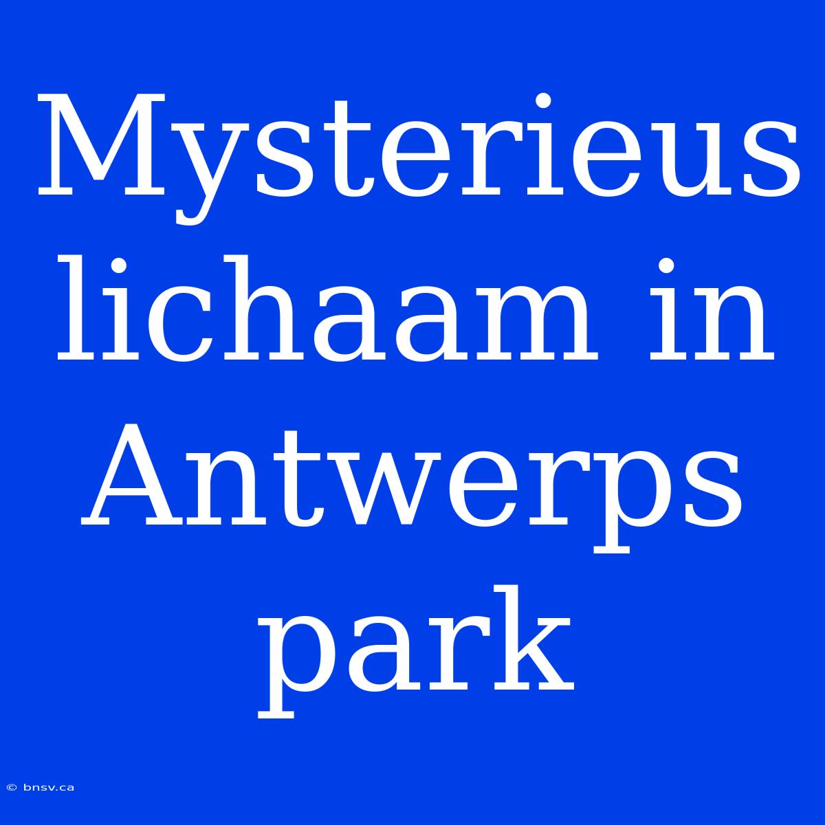 Mysterieus Lichaam In Antwerps Park