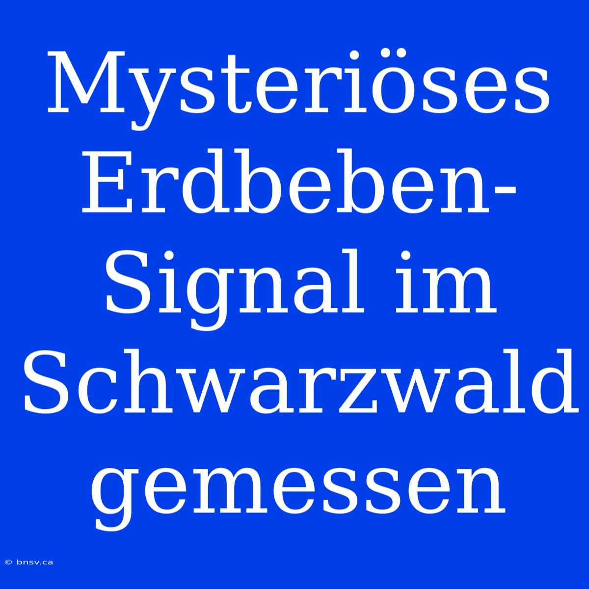 Mysteriöses Erdbeben-Signal Im Schwarzwald Gemessen