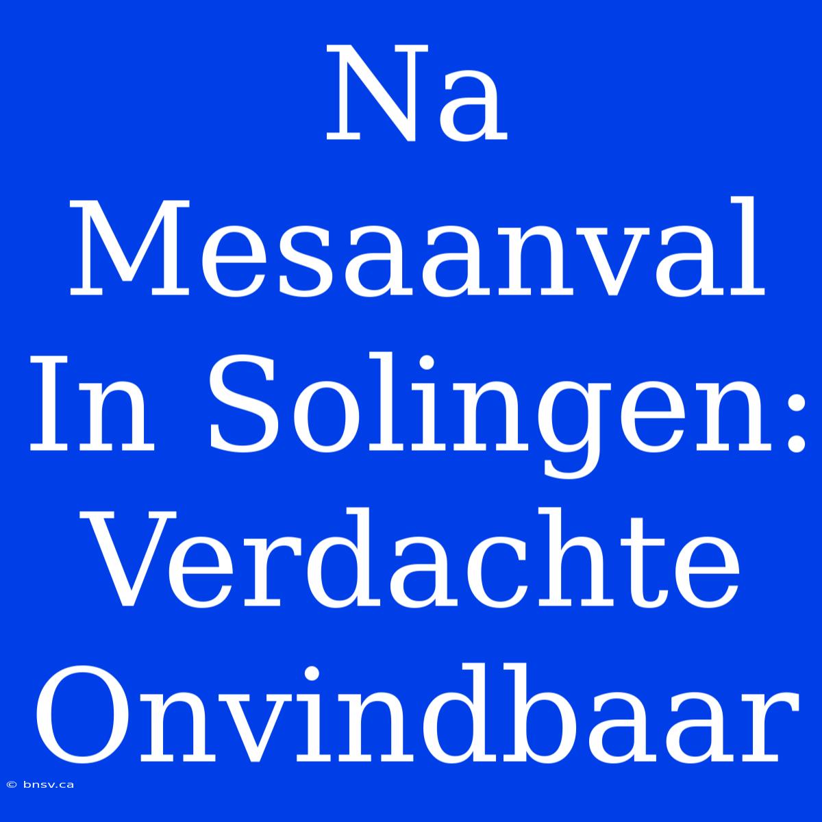 Na Mesaanval In Solingen: Verdachte Onvindbaar