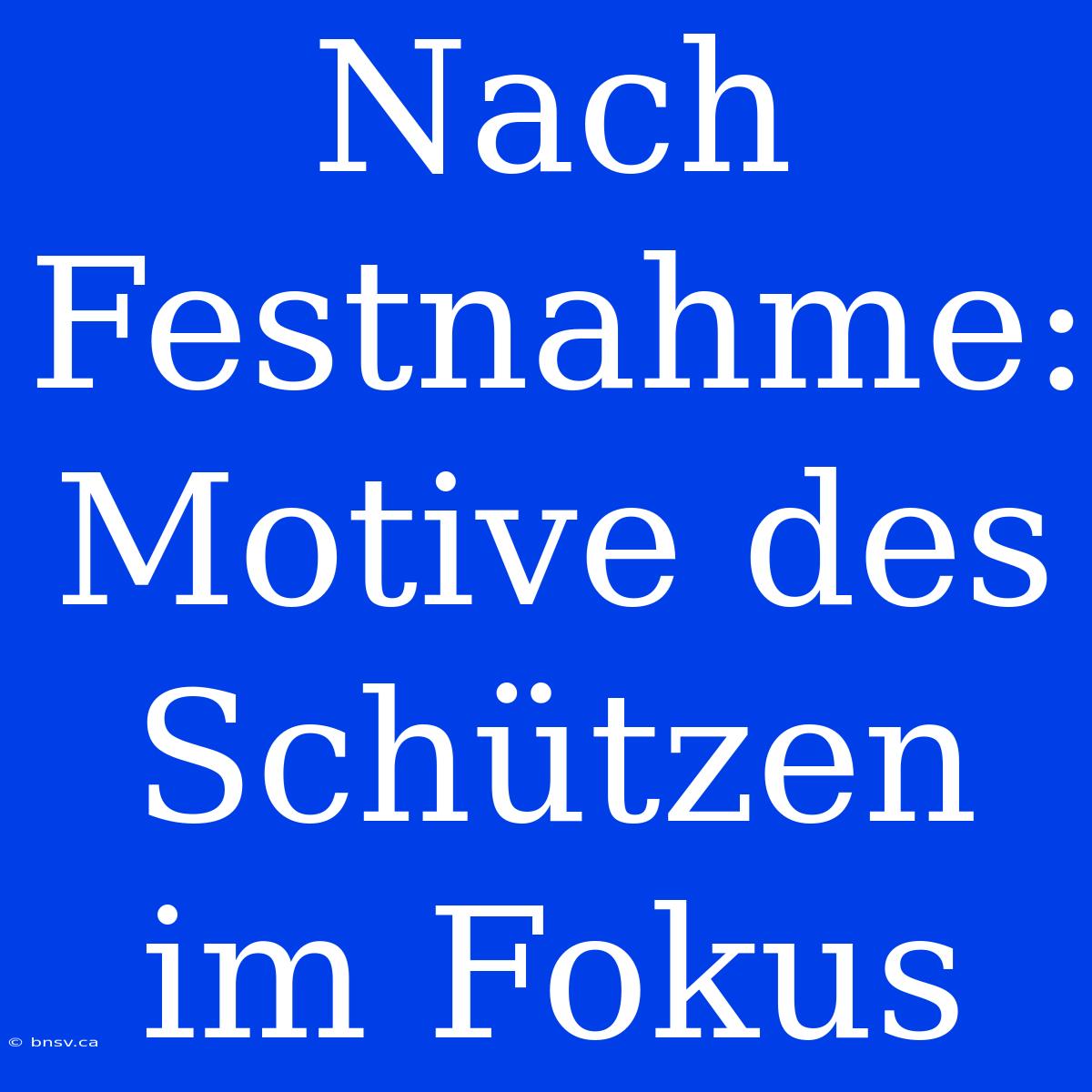 Nach Festnahme: Motive Des Schützen Im Fokus