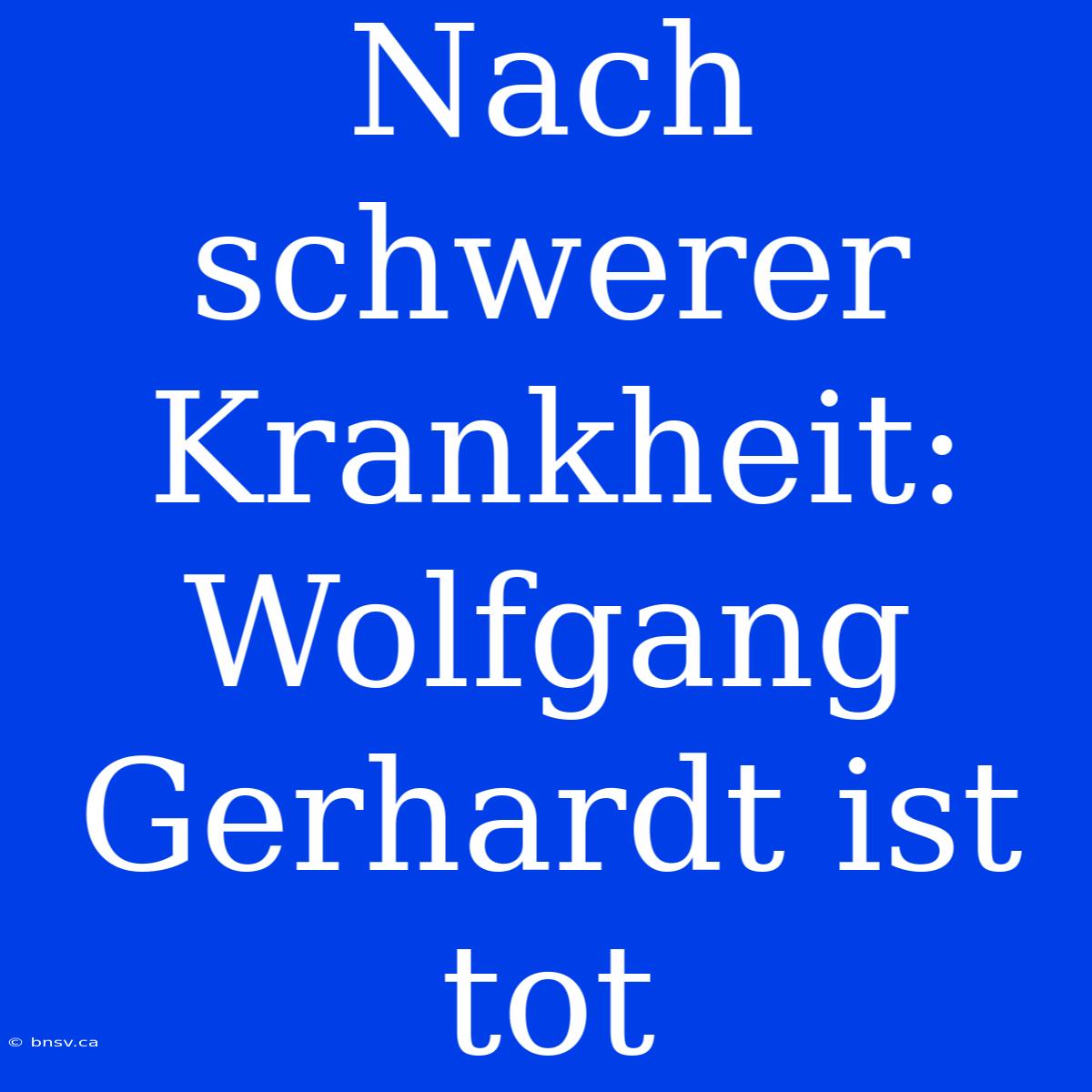 Nach Schwerer Krankheit: Wolfgang Gerhardt Ist Tot