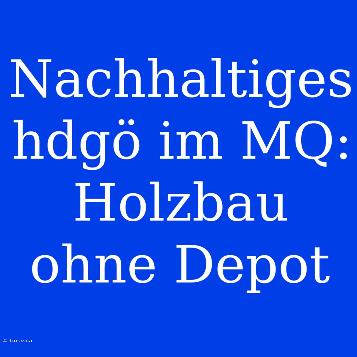 Nachhaltiges Hdgö Im MQ: Holzbau Ohne Depot