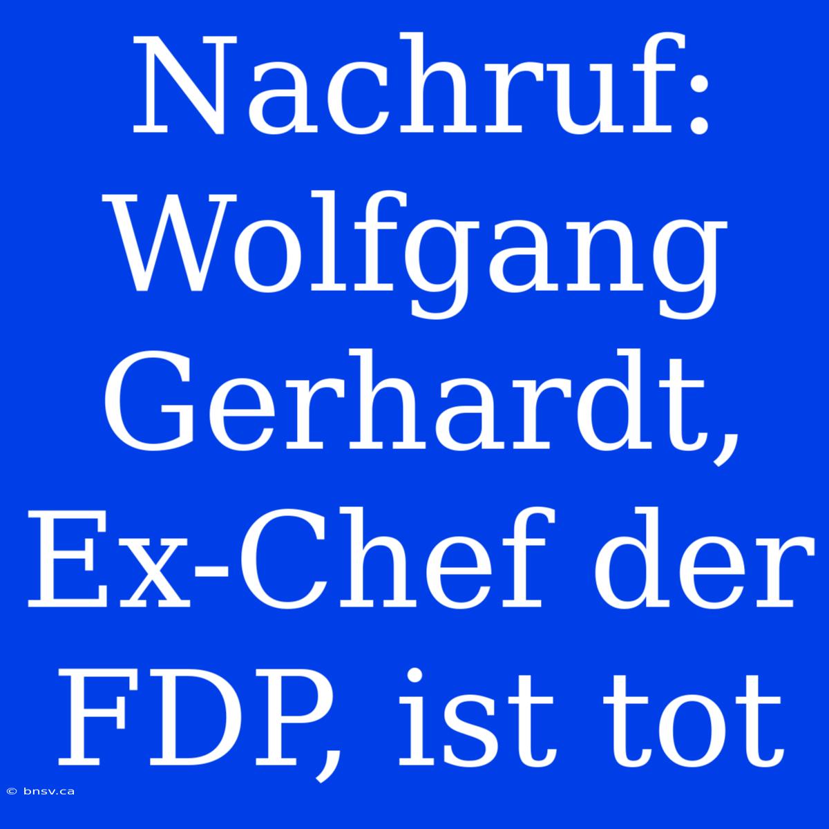 Nachruf: Wolfgang Gerhardt, Ex-Chef Der FDP, Ist Tot