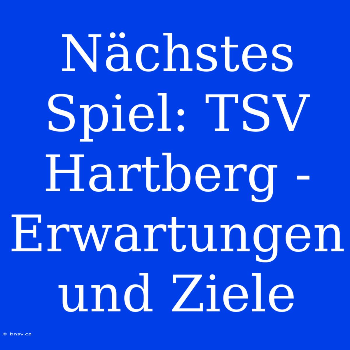 Nächstes Spiel: TSV Hartberg - Erwartungen Und Ziele