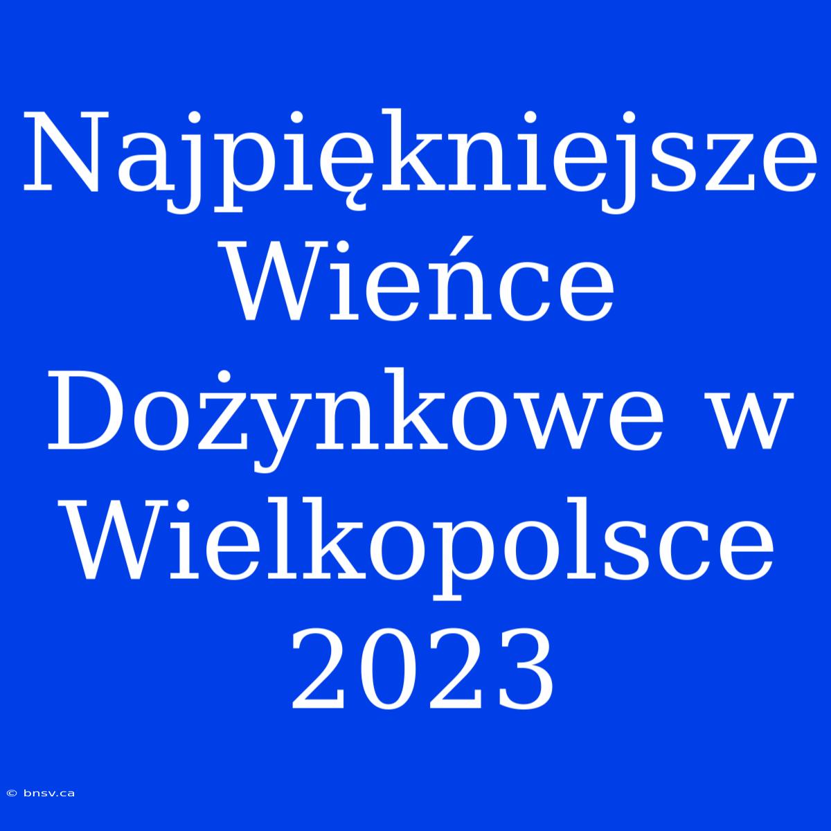 Najpiękniejsze Wieńce Dożynkowe W Wielkopolsce 2023