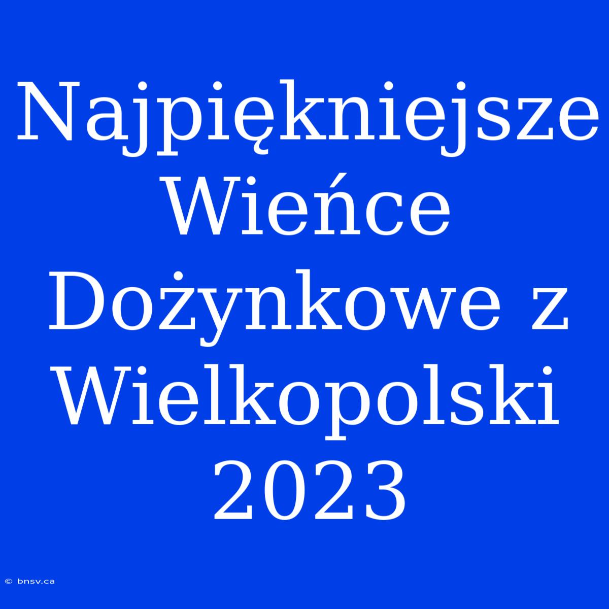 Najpiękniejsze Wieńce Dożynkowe Z Wielkopolski 2023