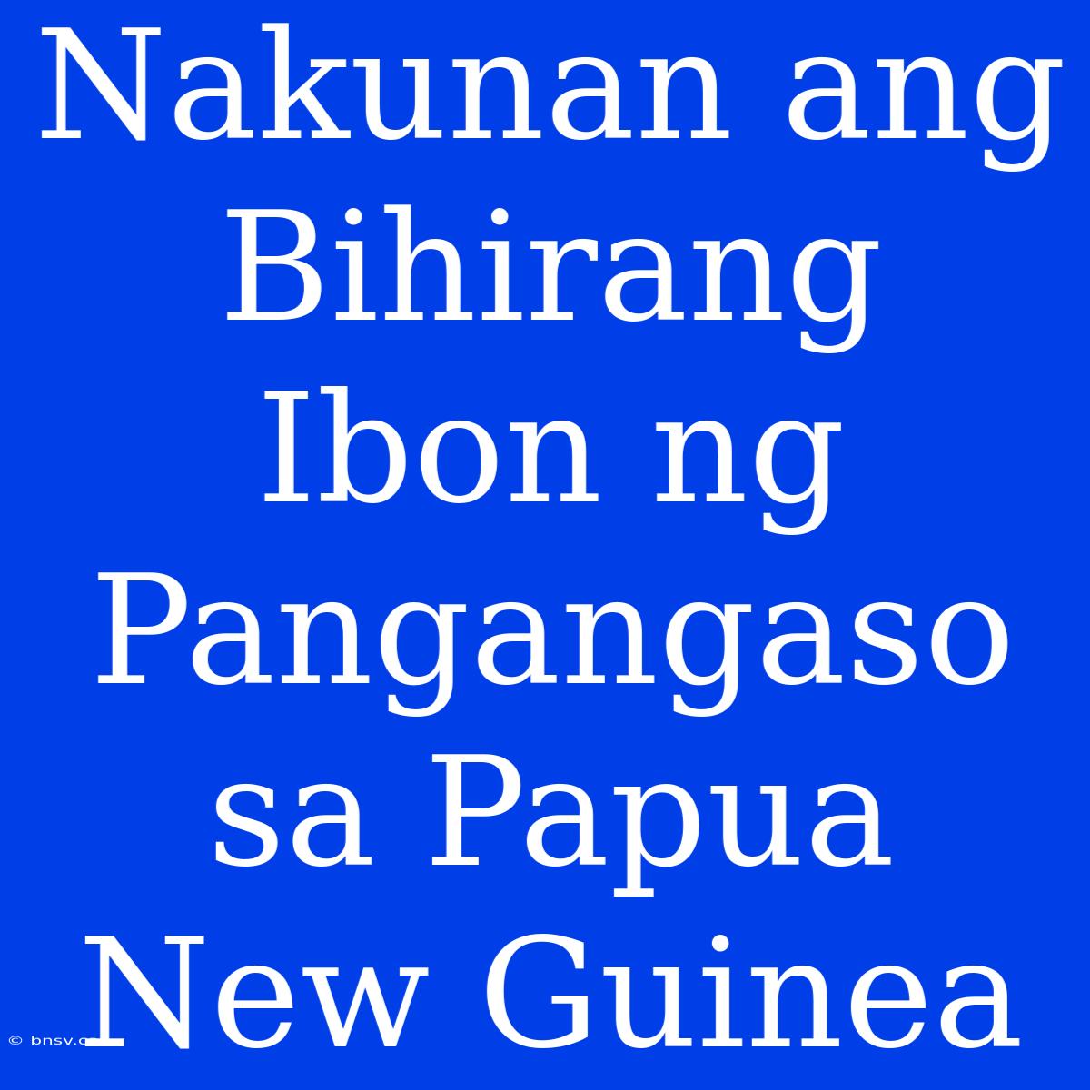 Nakunan Ang Bihirang Ibon Ng Pangangaso Sa Papua New Guinea