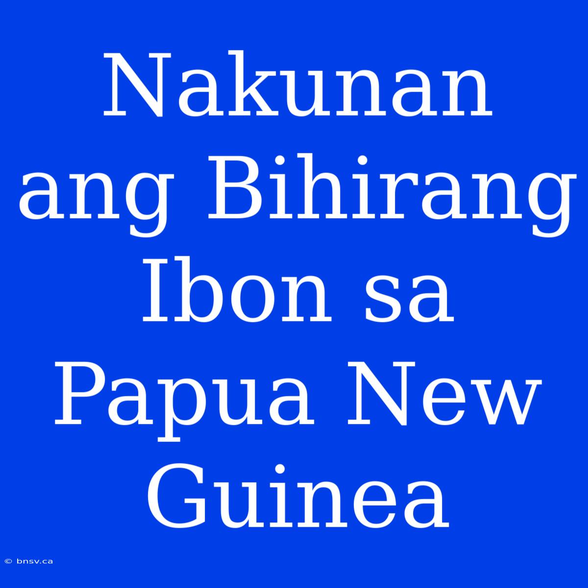 Nakunan Ang Bihirang Ibon Sa Papua New Guinea