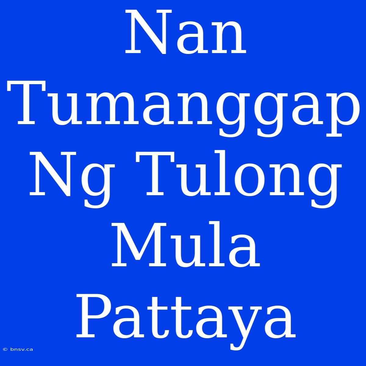 Nan Tumanggap Ng Tulong Mula Pattaya