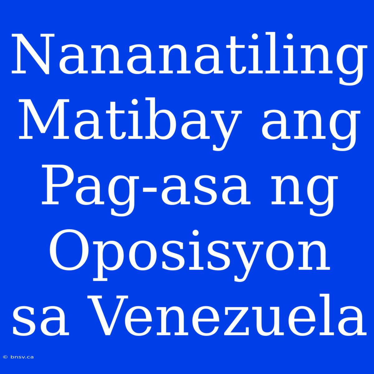 Nananatiling Matibay Ang Pag-asa Ng Oposisyon Sa Venezuela