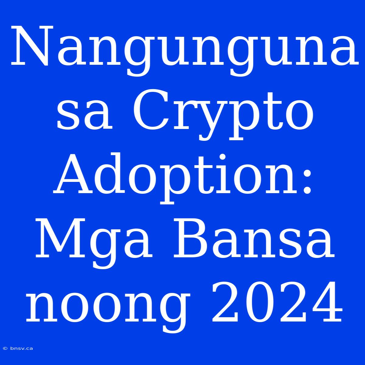 Nangunguna Sa Crypto Adoption: Mga Bansa Noong 2024