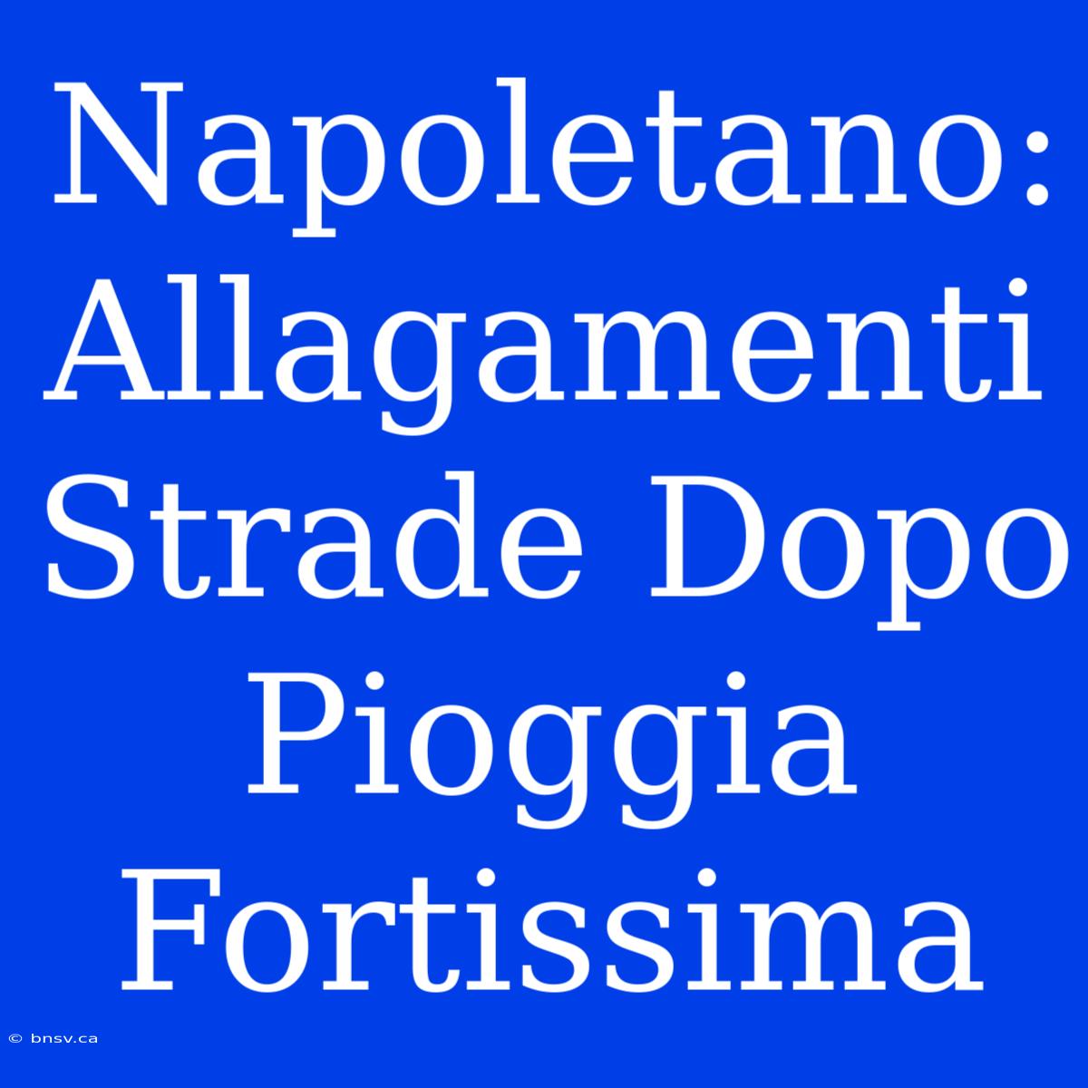 Napoletano: Allagamenti Strade Dopo Pioggia Fortissima