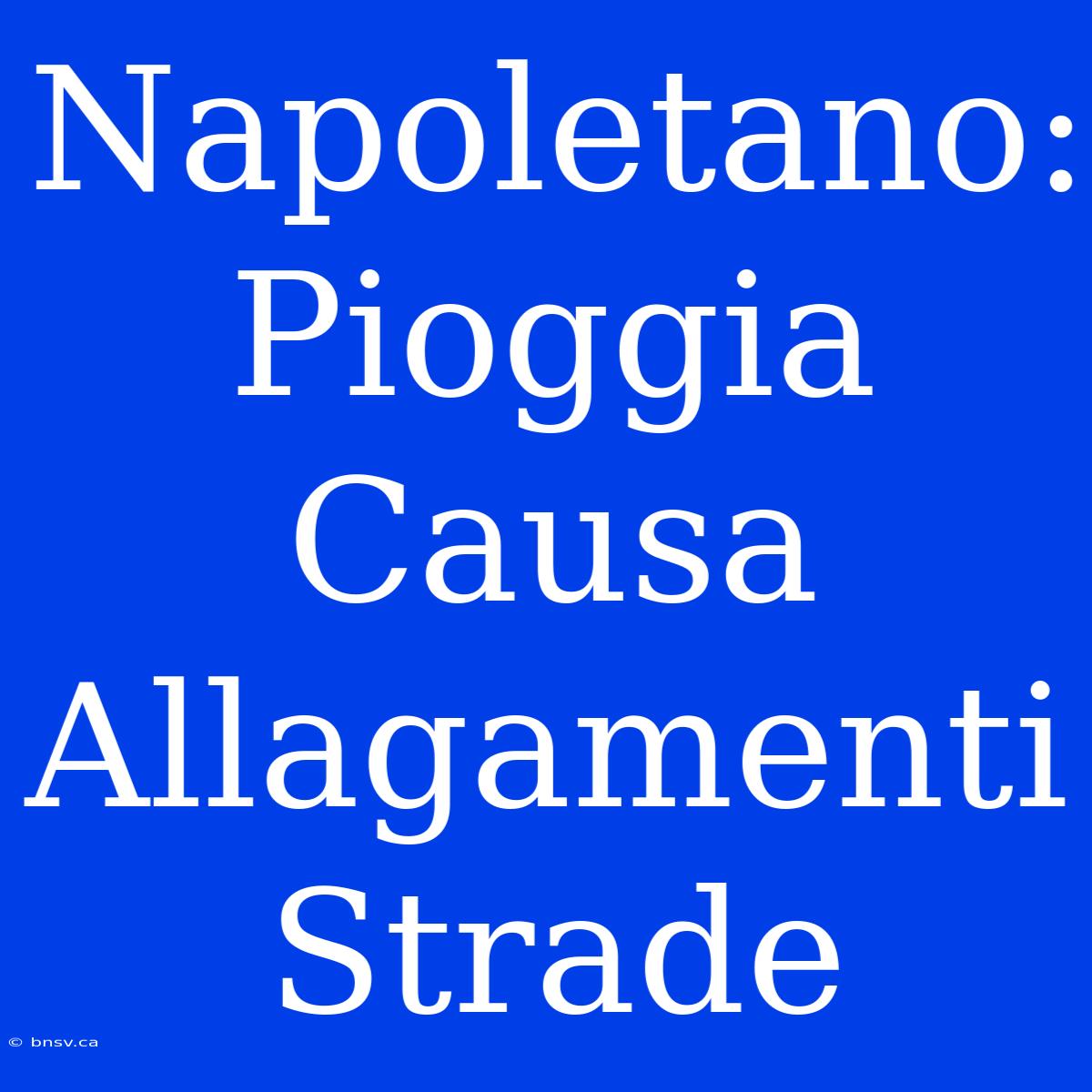 Napoletano: Pioggia Causa Allagamenti Strade