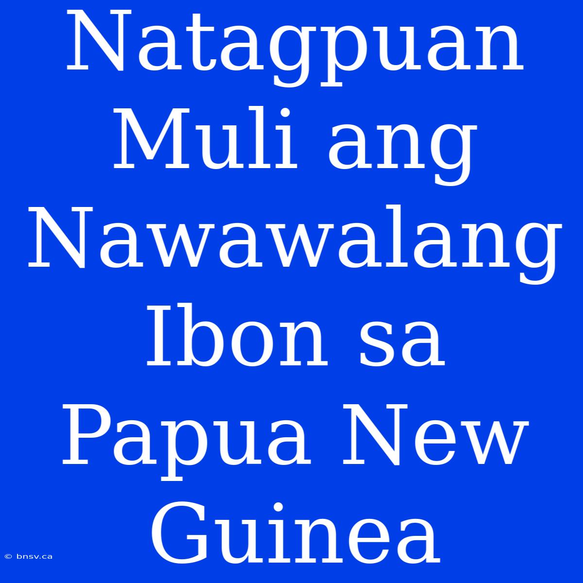 Natagpuan Muli Ang Nawawalang Ibon Sa Papua New Guinea