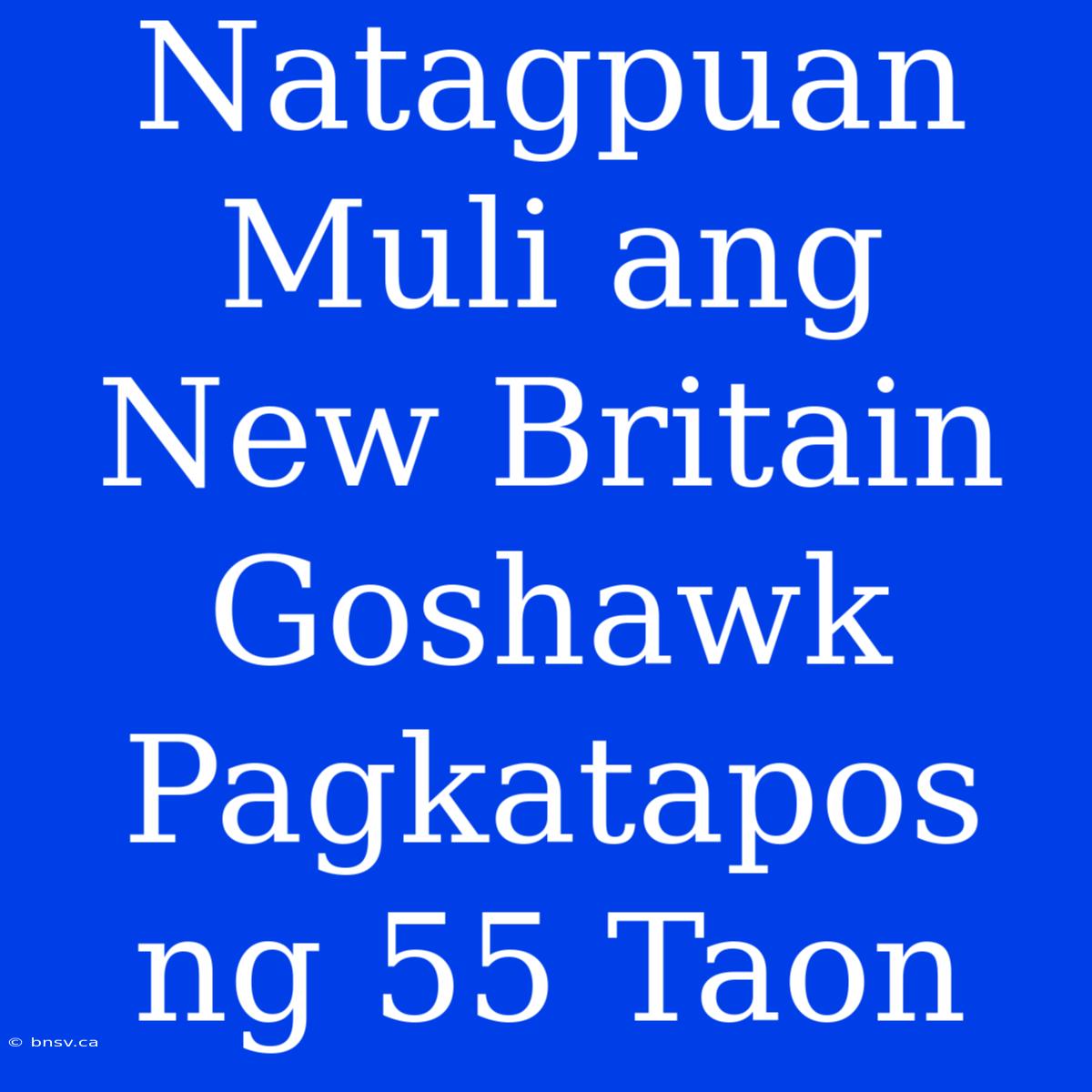 Natagpuan Muli Ang New Britain Goshawk Pagkatapos Ng 55 Taon