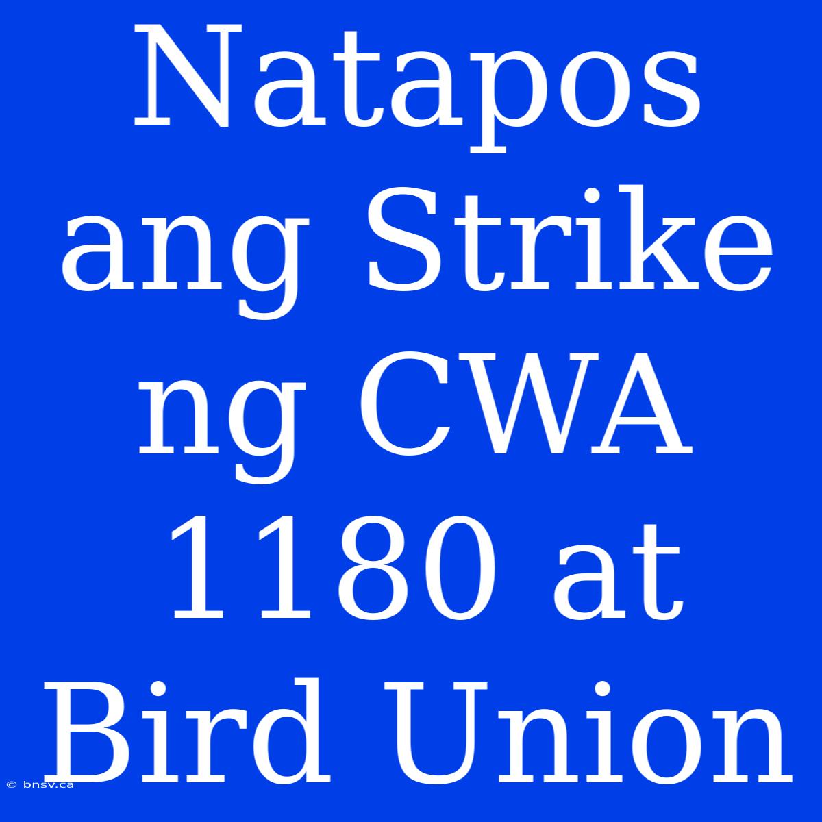 Natapos Ang Strike Ng CWA 1180 At Bird Union