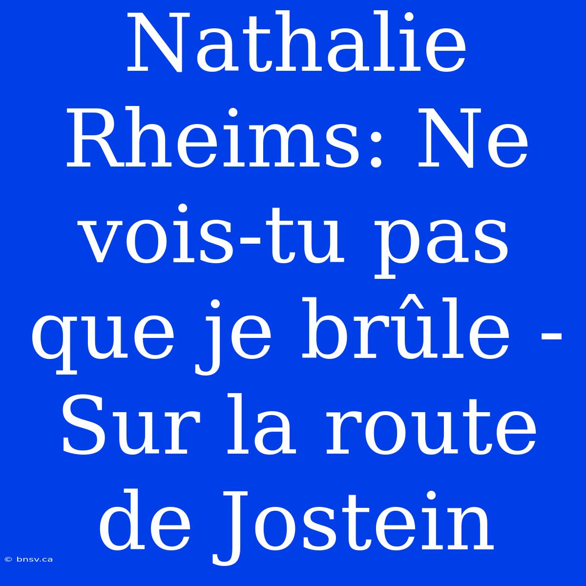 Nathalie Rheims: Ne Vois-tu Pas Que Je Brûle - Sur La Route De Jostein