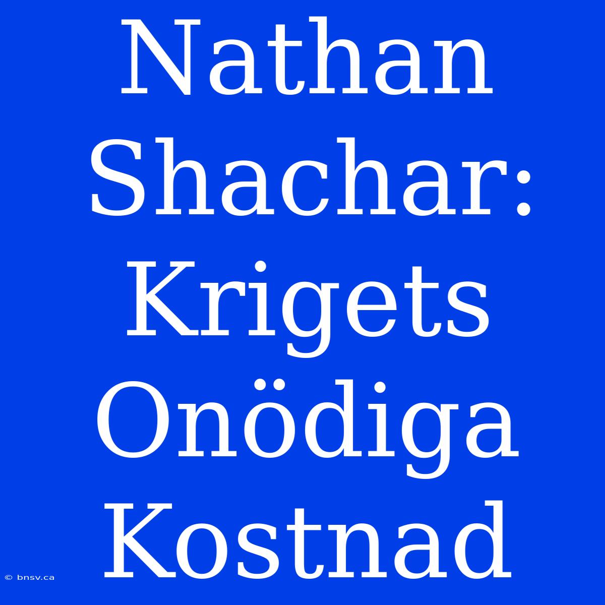 Nathan Shachar: Krigets Onödiga Kostnad