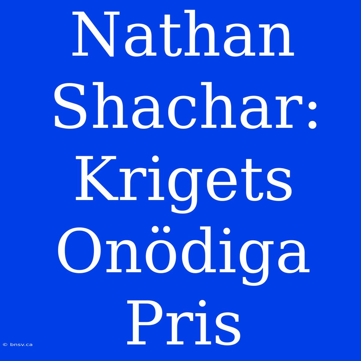 Nathan Shachar: Krigets Onödiga Pris