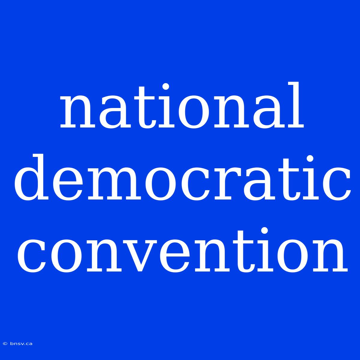 National Democratic Convention