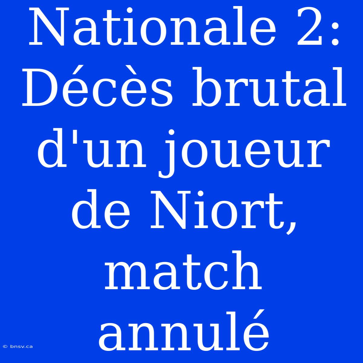 Nationale 2: Décès Brutal D'un Joueur De Niort, Match Annulé