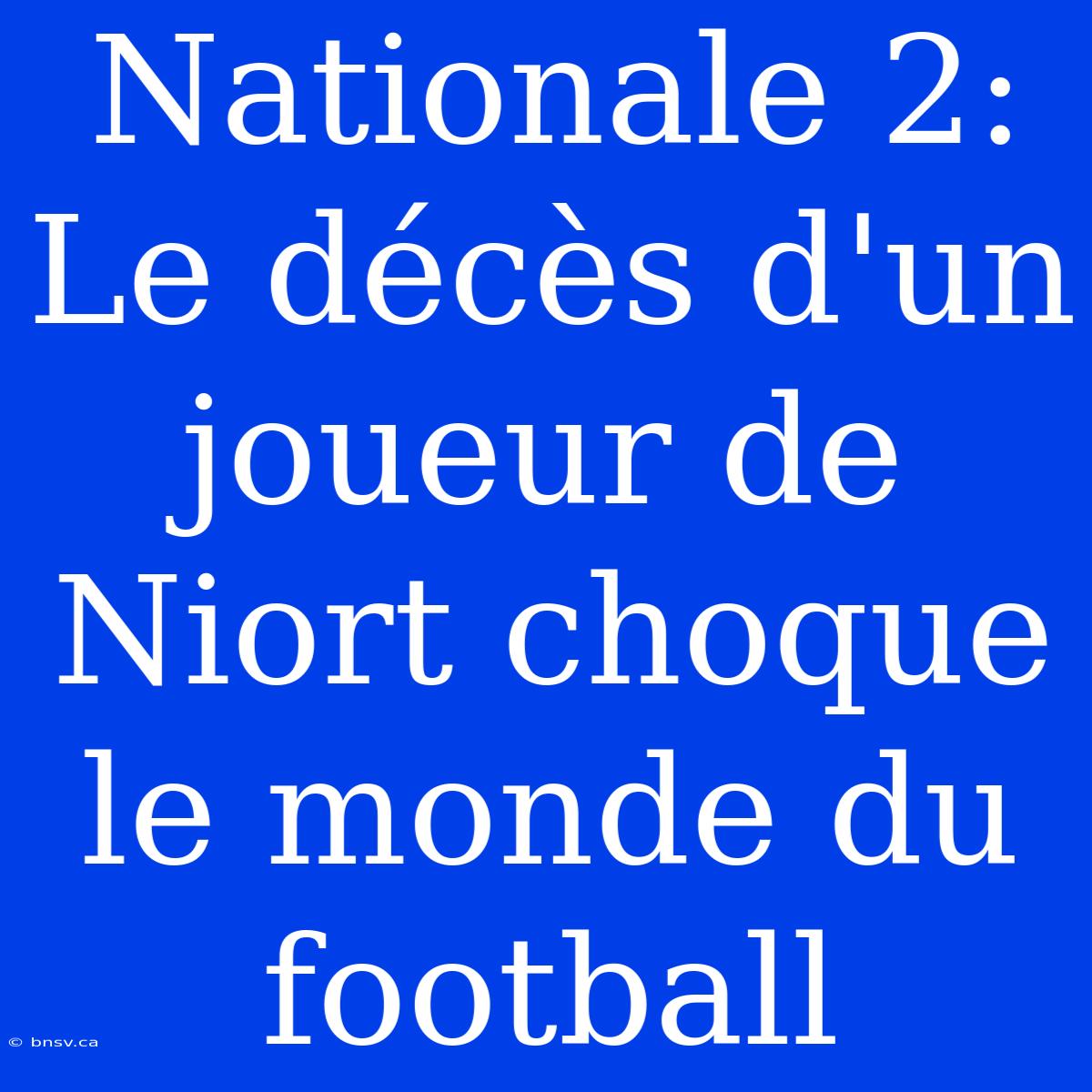 Nationale 2: Le Décès D'un Joueur De Niort Choque Le Monde Du Football