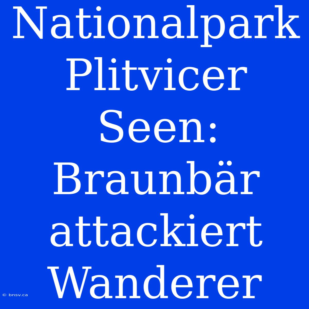 Nationalpark Plitvicer Seen: Braunbär Attackiert Wanderer