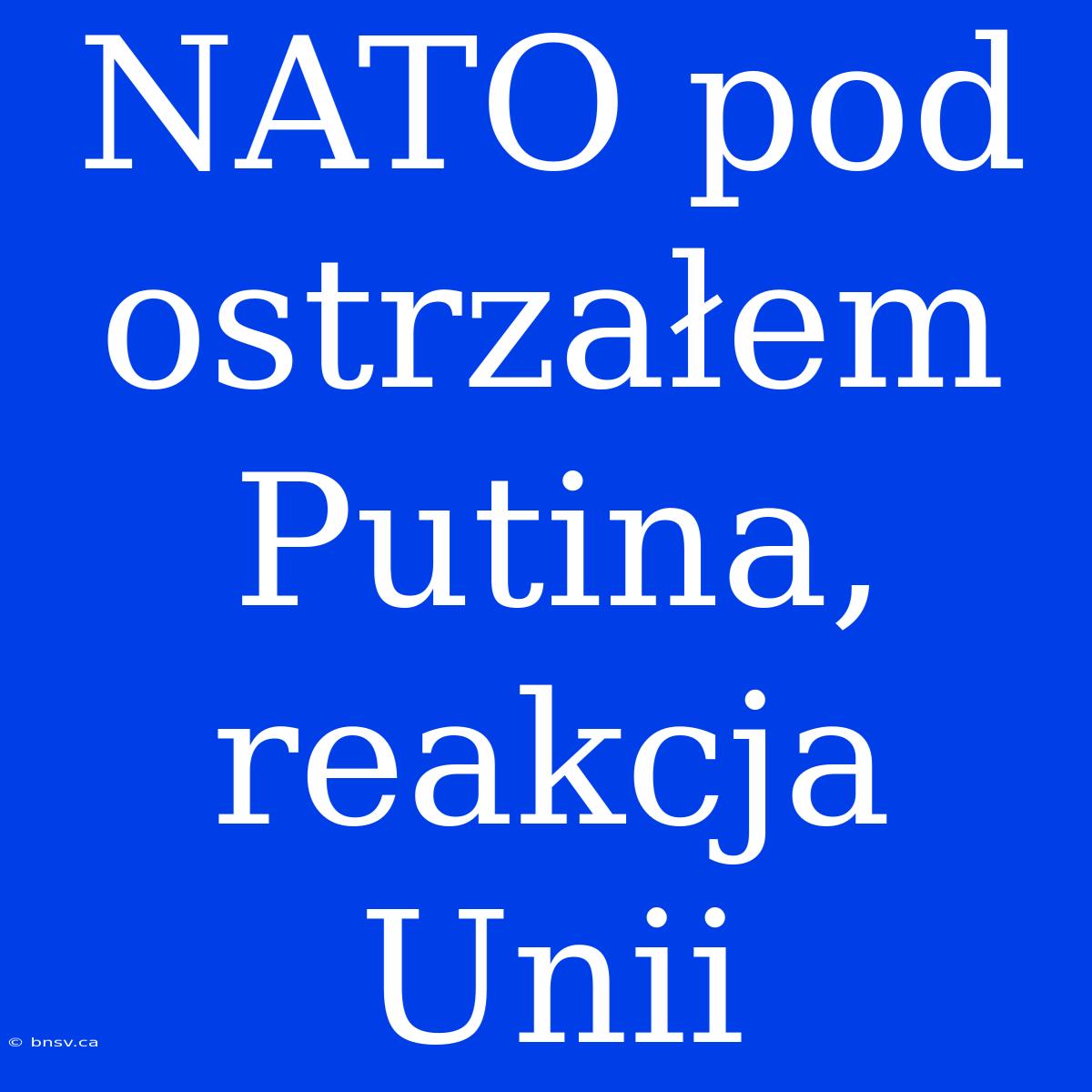 NATO Pod Ostrzałem Putina, Reakcja Unii