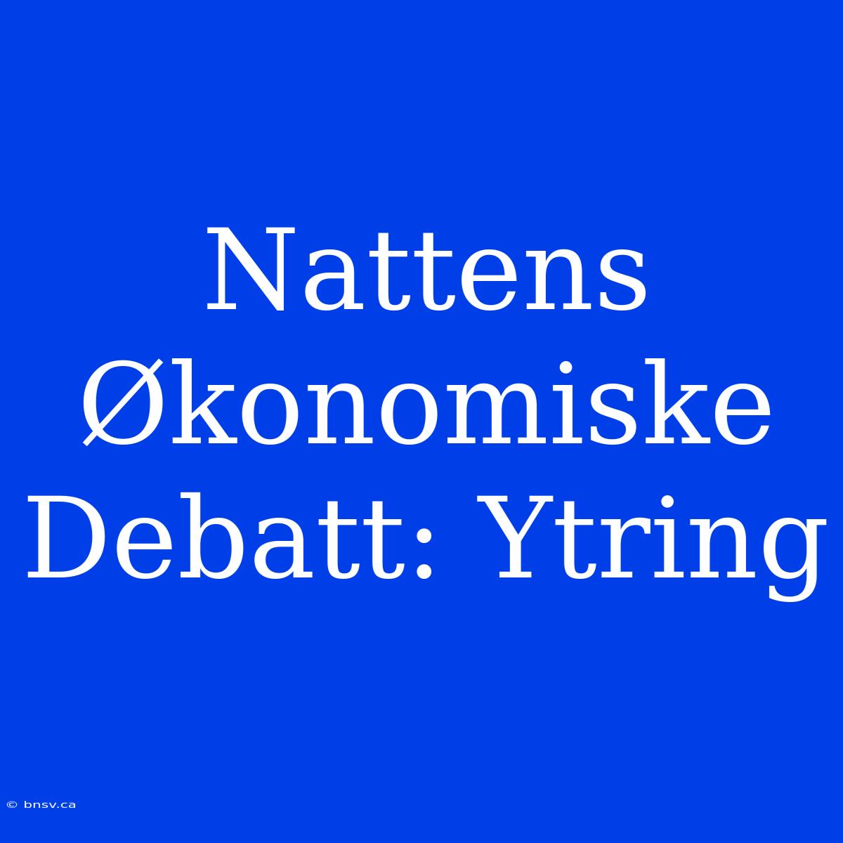 Nattens Økonomiske Debatt: Ytring