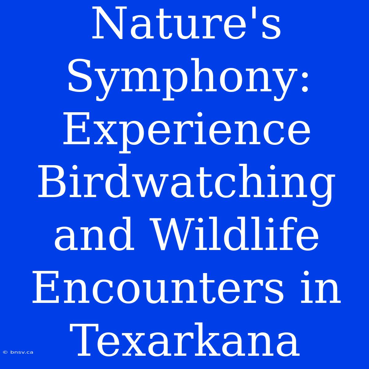 Nature's Symphony: Experience Birdwatching And Wildlife Encounters In Texarkana