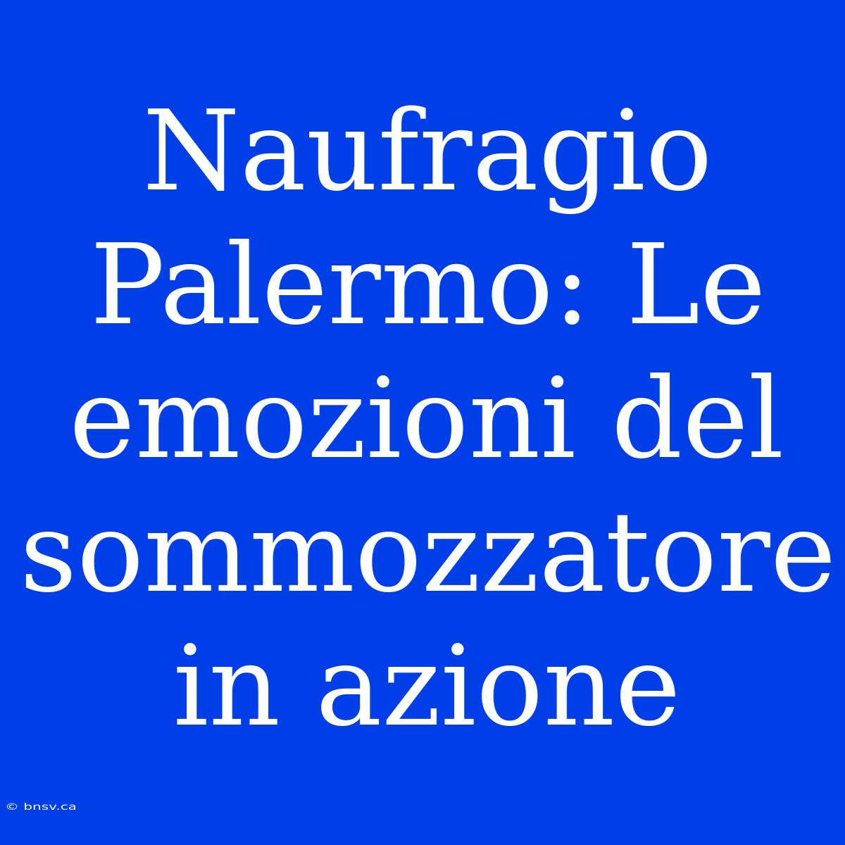 Naufragio Palermo: Le Emozioni Del Sommozzatore In Azione