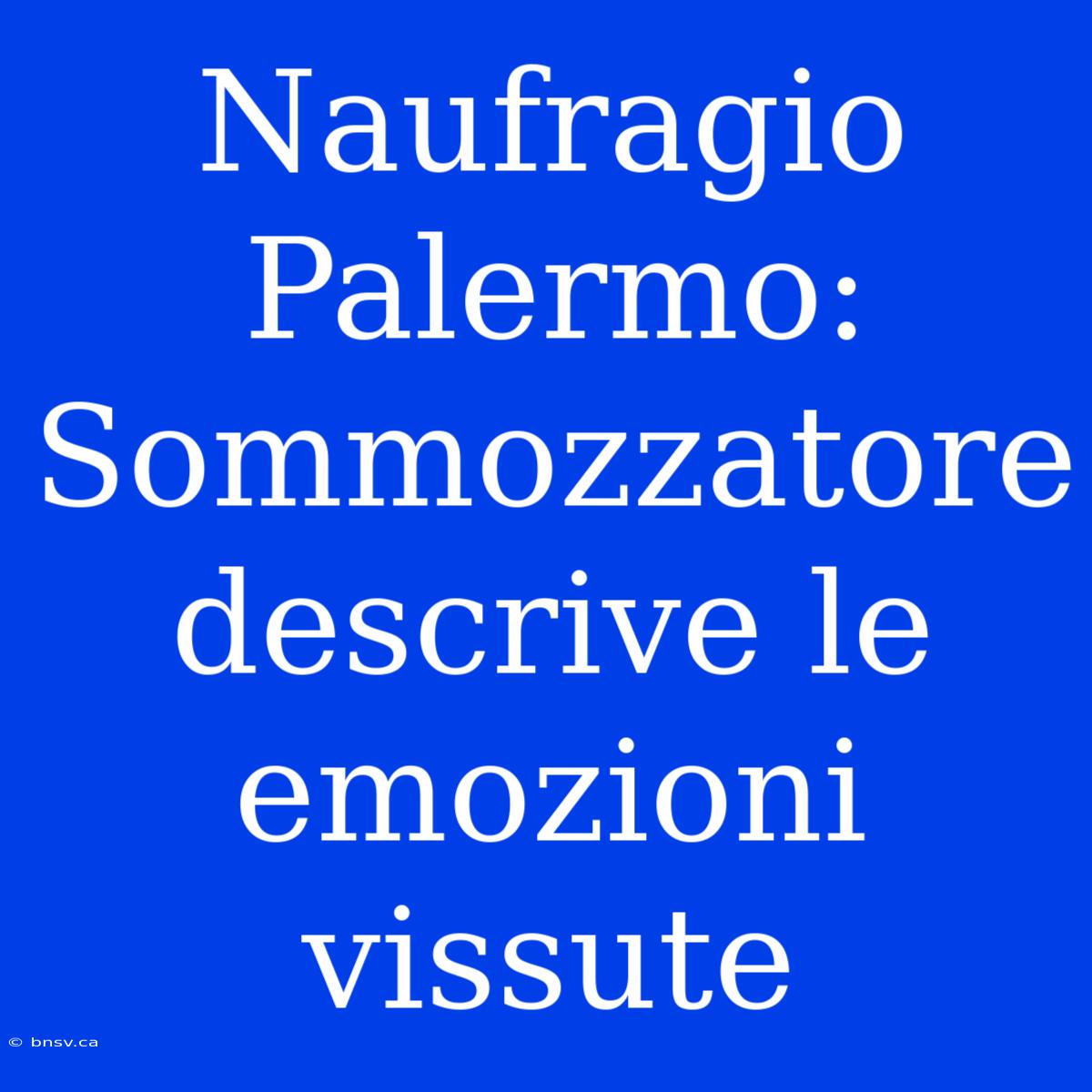 Naufragio Palermo: Sommozzatore Descrive Le Emozioni Vissute