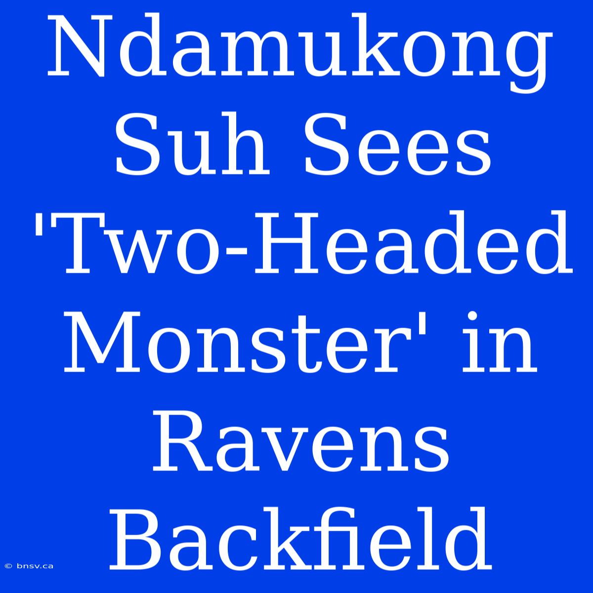 Ndamukong Suh Sees 'Two-Headed Monster' In Ravens Backfield