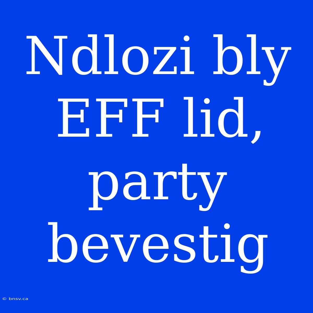 Ndlozi Bly EFF Lid, Party Bevestig