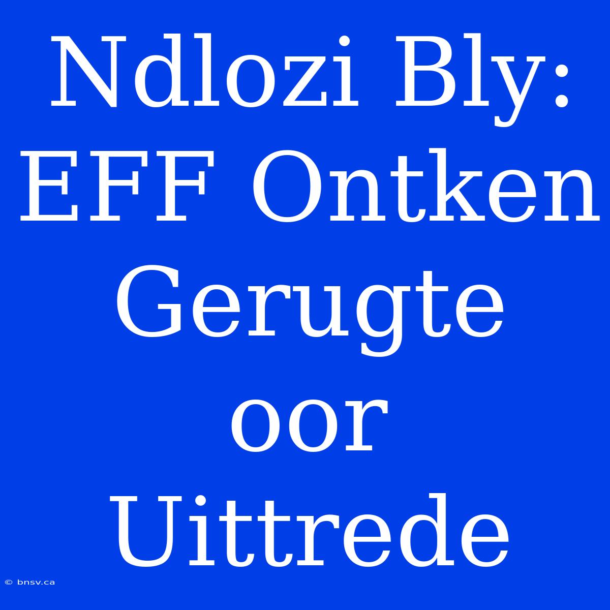 Ndlozi Bly: EFF Ontken Gerugte Oor Uittrede