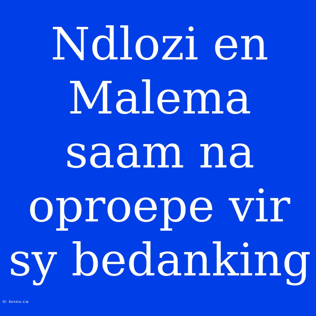 Ndlozi En Malema Saam Na Oproepe Vir Sy Bedanking