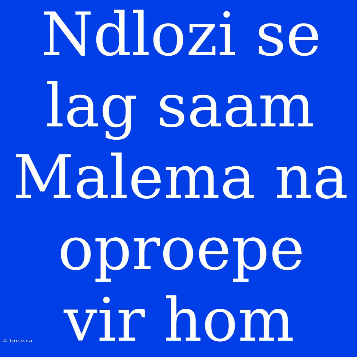 Ndlozi Se Lag Saam Malema Na Oproepe Vir Hom