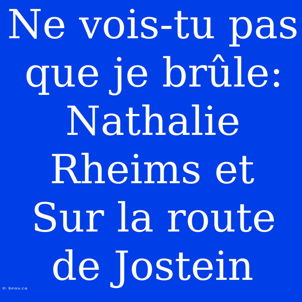 Ne Vois-tu Pas Que Je Brûle: Nathalie Rheims Et Sur La Route De Jostein