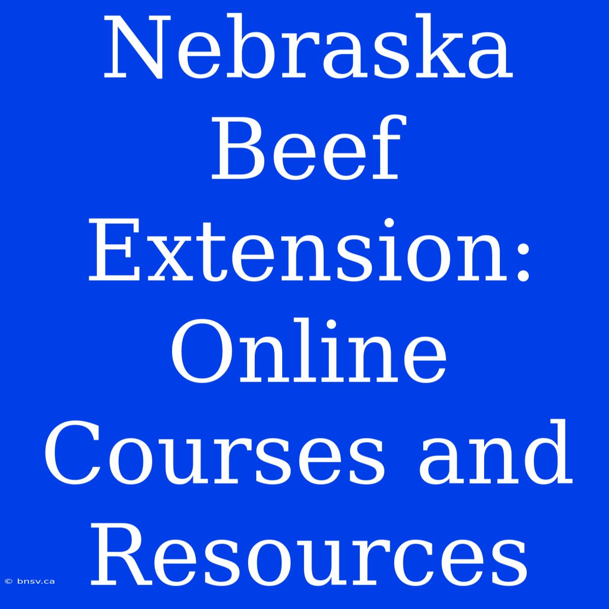 Nebraska Beef Extension: Online Courses And Resources