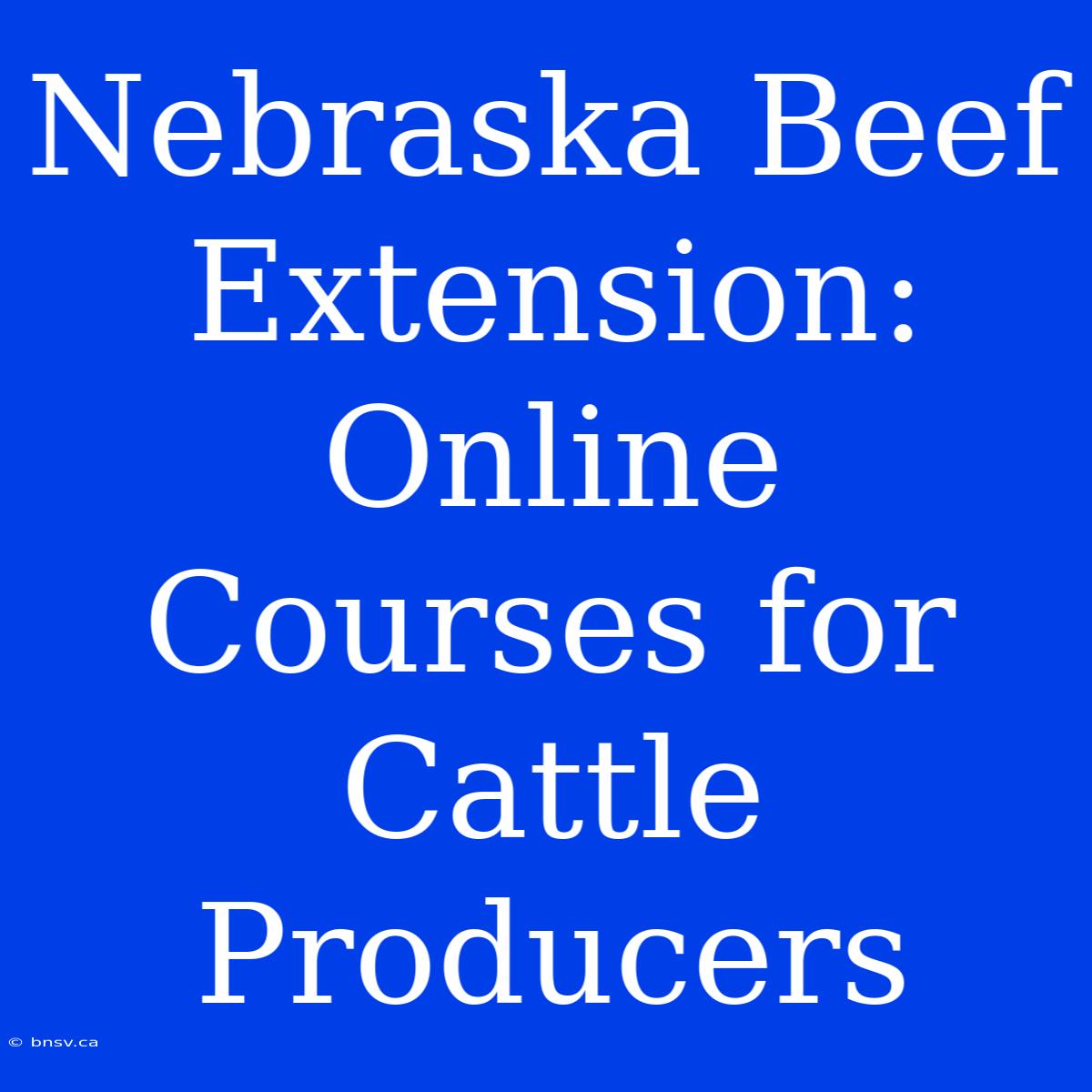 Nebraska Beef Extension: Online Courses For Cattle Producers