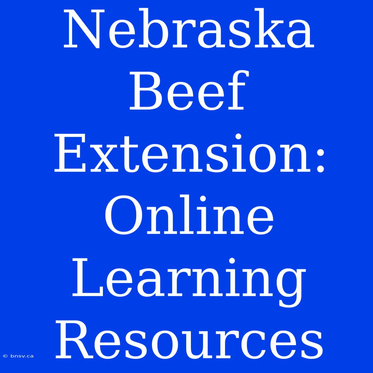 Nebraska Beef Extension: Online Learning Resources