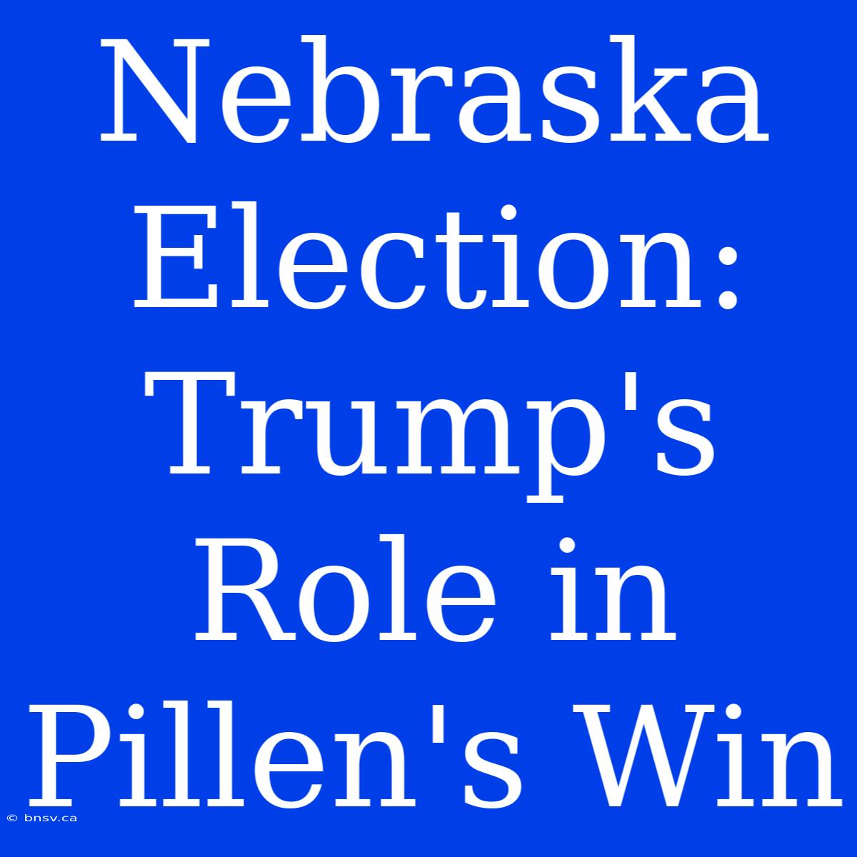 Nebraska Election: Trump's Role In Pillen's Win