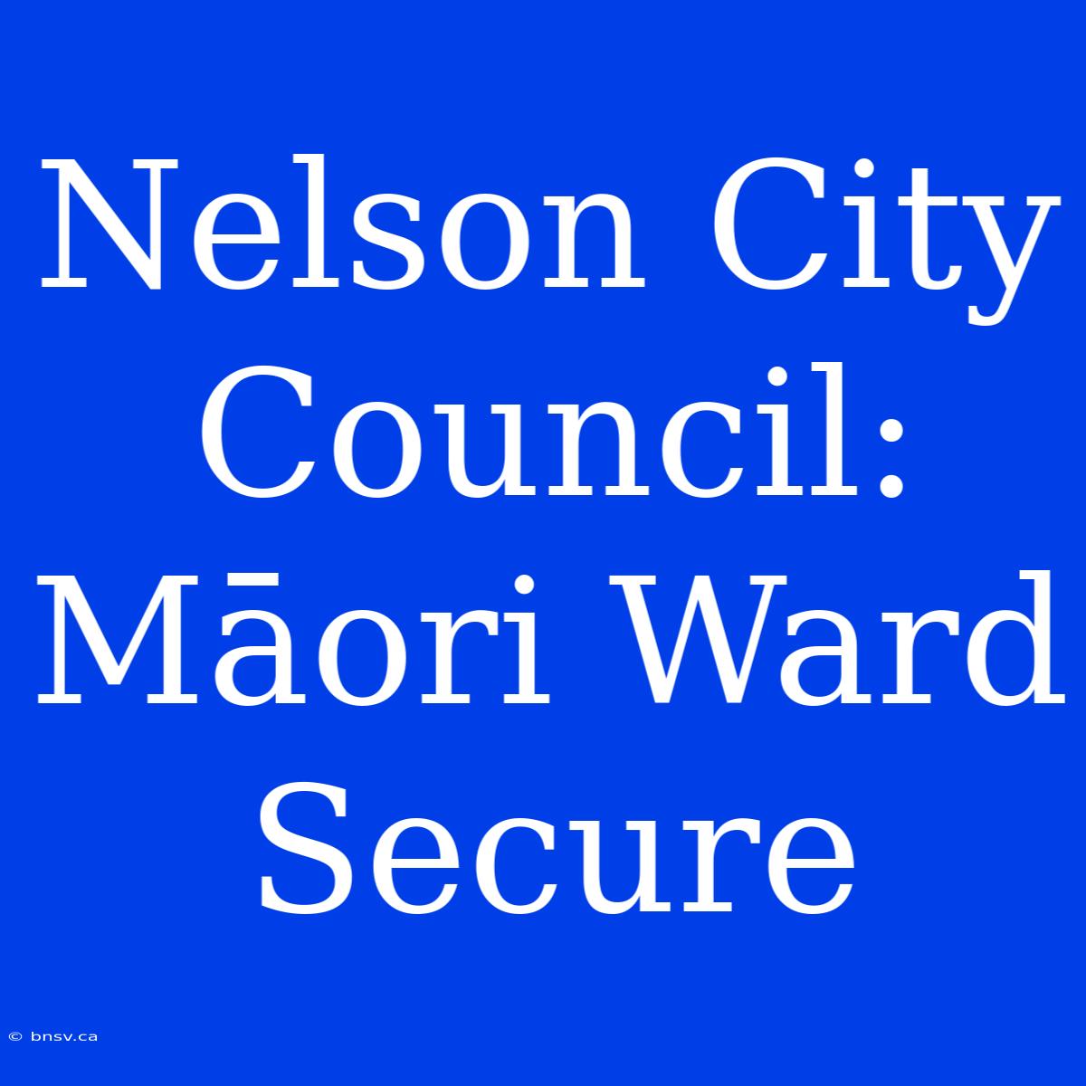 Nelson City Council: Māori Ward Secure