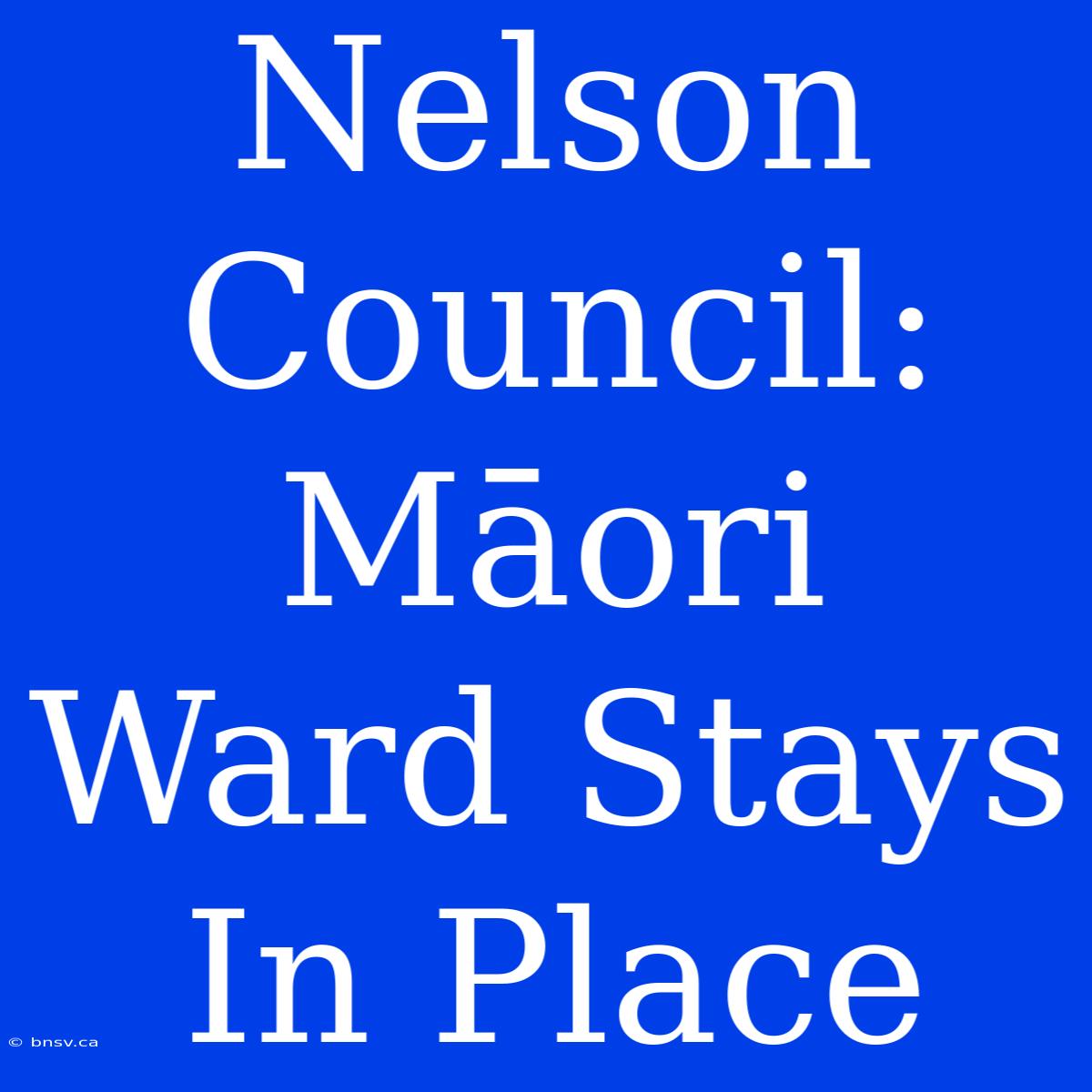 Nelson Council: Māori Ward Stays In Place